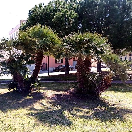 Casa Vacanze Tre Stelle Termoli Eksteriør bilde